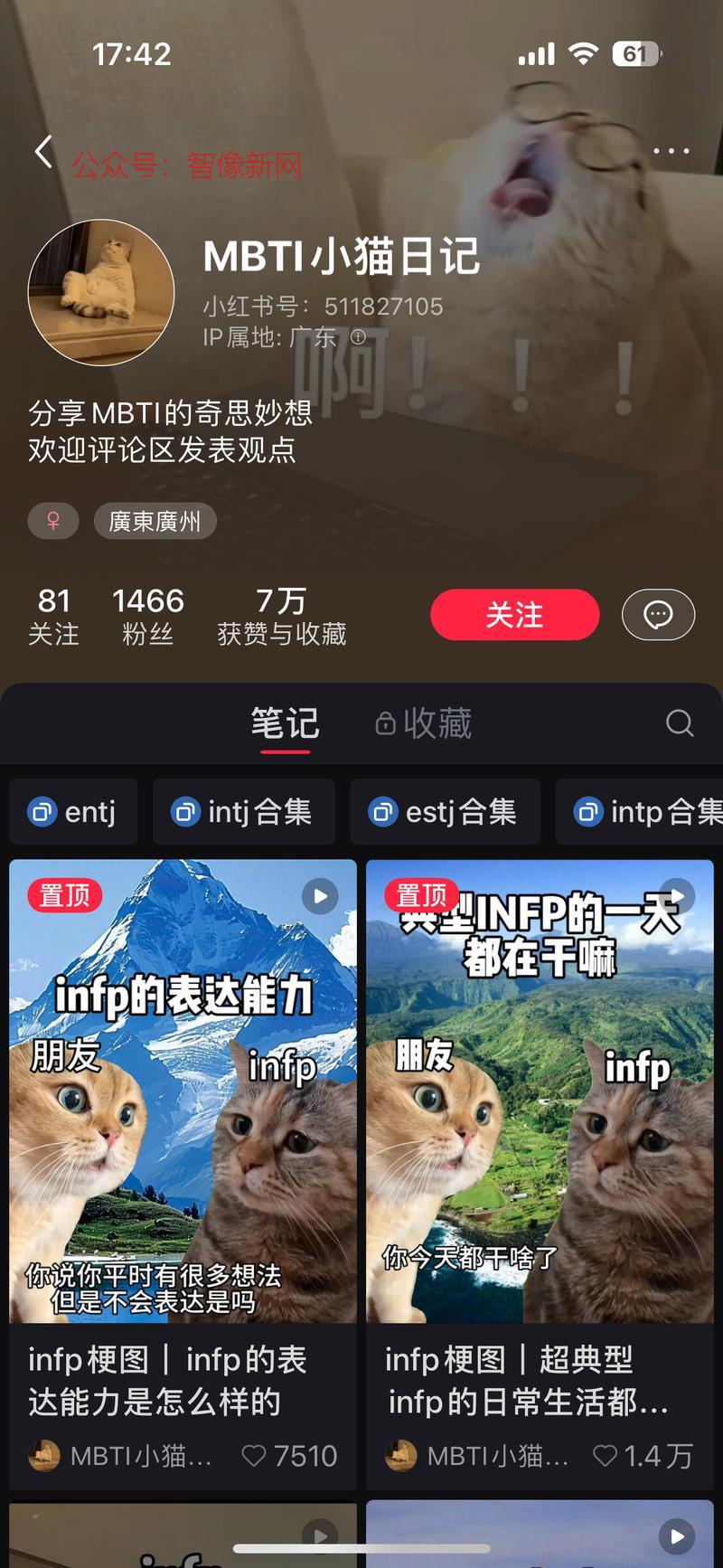 mbti+猫meme热…#情报-搞钱情报论坛-网创交流-智像新网